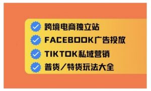 跨境电商独立站及全域流量营销，从0基础快速入门并精通跨境电商运营|淘骐网赚资源库