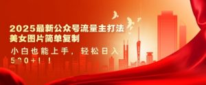 2025最新公众号流量主打法,美女图片简单复制,小白也能上手,轻松日入5张|淘骐网赚资源库