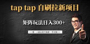 taptap拉新自刷项目,一个新用户14元,矩阵玩法日入300+|淘骐网赚资源库