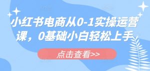 小红书电商从0-1实操运营课，0基础小白轻松上手|淘骐网赚资源库
