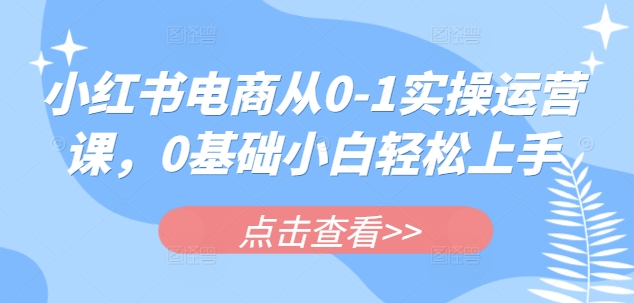 小红书电商从0-1实操运营课，0基础小白轻松上手|淘骐网赚资源库