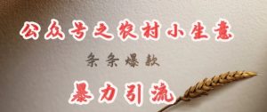 deepseek写农村小项目，条条爆款，暴力引流|淘骐网赚资源库