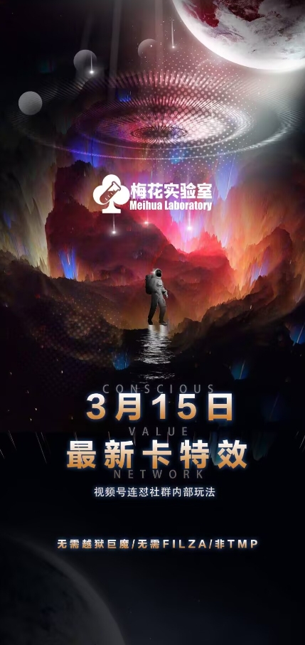 梅花实验室视频号连怼玩法-3月15日最新卡特效技术(无需越狱、巨魔、tmp)|淘骐网赚资源库