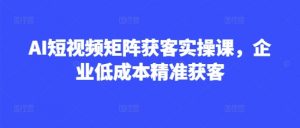 AI短视频矩阵获客实操课，企业低成本精准获客|淘骐网赚资源库