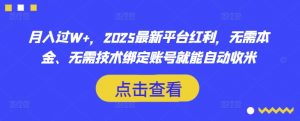 月入过W+,2025最新平台红利,无需本金、无需技术绑定账号就能自动收米|淘骐网赚资源库