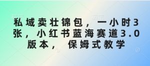 私域卖壮锦包,一小时3张,小红书蓝海赛道3.0版本, 保姆式教学|淘骐网赚资源库