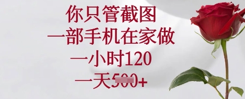 你只管截图,一部手机在家做,一小时120.一天5张【揭秘】|淘骐网赚资源库