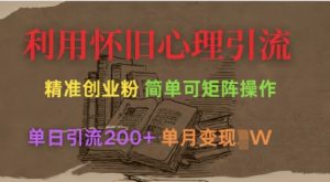 利用怀旧心理,引流创业粉,简单可矩阵操作,单日引流200+,月变现过W|淘骐网赚资源库