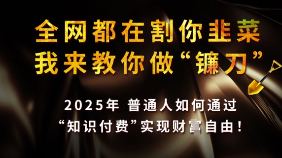 全网都在割你韭菜,我来教你做镰刀,2025普通人如何通过知识付费,实现财F自由【揭秘】|淘骐网赚资源库