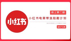 2025小红书虚拟电商实战课，从0到1打造无货源店铺，AI+爆款笔记轻松变现|淘骐网赚资源库