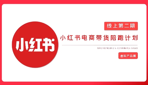 2025小红书虚拟电商实战课,从0到1打造无货源店铺,AI+爆款笔记轻松变现|淘骐网赚资源库