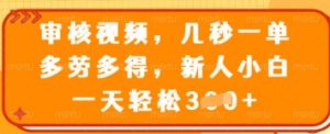 审核视频，几秒一单，多劳多得，新人小白一天轻松3张【揭秘】|淘骐网赚资源库