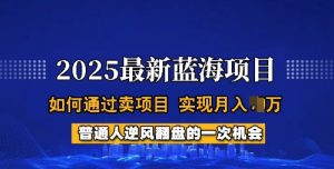 2025蓝海项目,普通人如何通过卖项目,实现月入过W,全过程【揭秘】|淘骐网赚资源库