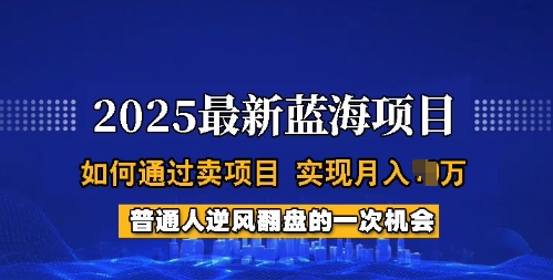 2025蓝海项目,普通人如何通过卖项目,实现月入过W,全过程【揭秘】|淘骐网赚资源库