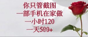 你只管截图，一部手机在家操作，一小时120.一天5张【揭秘】|淘骐网赚资源库
