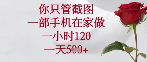 你只管截图，一部手机在家操作，一小时120.一天5张【揭秘】|淘骐网赚资源库