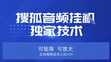 【搜狐音频挂G】独家技术,可矩阵可放大,红利期稳定月入8k【揭秘】|淘骐网赚资源库