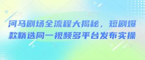 河马剧场全流程大揭秘，短剧爆款精选同一视频多平台发布实操|淘骐网赚资源库