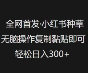 全网首发,小红书种草无脑操作,复制黏贴即可,轻松日入3张|淘骐网赚资源库