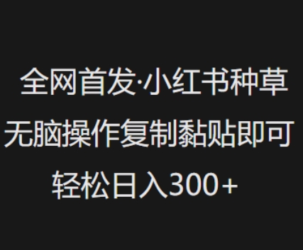 全网首发,小红书种草无脑操作,复制黏贴即可,轻松日入3张|淘骐网赚资源库