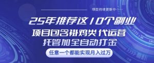 25年推荐这10个副业项目包含褂鸡类、代运营托管类、全自动打金类【揭秘】|淘骐网赚资源库