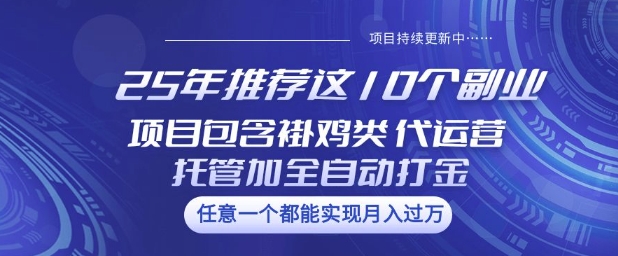 25年推荐这10个副业项目包含褂鸡类、代运营托管类、全自动打金类【揭秘】|淘骐网赚资源库