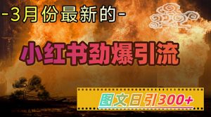 小红书超劲爆引流手段,图文日引300+轻松变现1W|淘骐网赚资源库