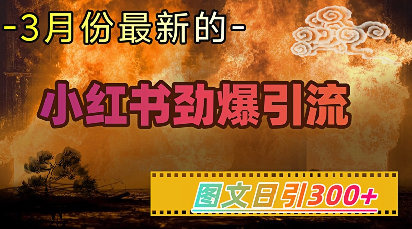 小红书超劲爆引流手段,图文日引300+轻松变现1W|淘骐网赚资源库