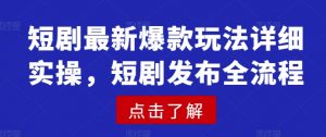 短剧最新爆款玩法详细实操,短剧发布全流程|淘骐网赚资源库