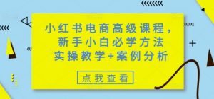 小红书电商高级课程,新手小白必学方法,实操教学+案例分析|淘骐网赚资源库