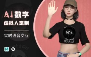 Ai数字人虚拟(智能体)实时语音交互特训营,自行定制超写实角色AI数字人交互技术|淘骐网赚资源库