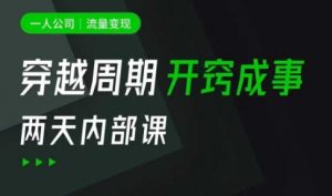 一人公司:流量变现课,一人公司的方法模型拆解, 拆解富人思维,流量思维,小老板思维等|淘骐网赚资源库