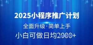 2025小程序推广计划,全面升级,简单上手,日均多张【揭秘】|淘骐网赚资源库