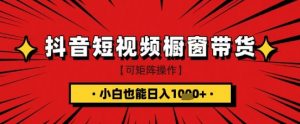 抖音短视频食品橱窗带货，小白轻松上手日入1k+【揭秘】|淘骐网赚资源库