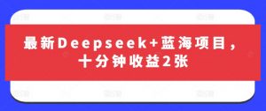 最新Deepseek+蓝海项目,十分钟收益2张|淘骐网赚资源库