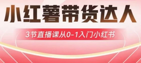 小红薯达人带货启航计划，3节直播课从0-1入门小红书|淘骐网赚资源库