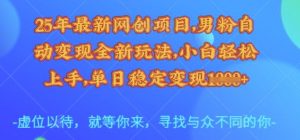 25年最新网创项目,男粉自动变现全新玩法,小白轻松上手,单日稳定变现多张【揭秘】|淘骐网赚资源库