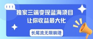 独家三端变现蓝海项目，让你收益最大化，长尾流无限躺挣|淘骐网赚资源库