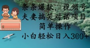 条条爆款,视频号夫妻搞笑对话项目,简单操作,小白轻松日入3张+|淘骐网赚资源库