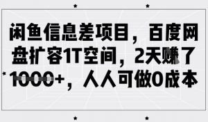 闲鱼信息差项目,百度网盘扩容1T空间,2天收益1k+,人人可做0成本|淘骐网赚资源库