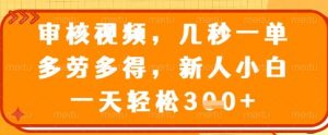 审核视频，几秒一单，多劳多得，新人小白一天轻松3张【揭秘】|淘骐网赚资源库