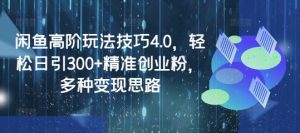 闲鱼高阶玩法技巧4.0,轻松日引300+精准创业粉,多种变现思路|淘骐网赚资源库