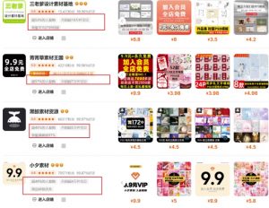 0成本虚拟项目实战手把手教你落地，单店月入5k|淘骐网赚资源库