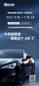 视频号连怼玩法-FFplug玩法AB插件使用+测素材教程-梅花实验室社群专享课|淘骐网赚资源库