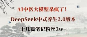AI中医大模型杀疯了!DeepSeek中式养生2.0版本,十几篇笔记粉丝3w+|淘骐网赚资源库