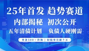 2025年首次公开，真正的事业型赛道，客咨不断，单月轻松破W|淘骐网赚资源库