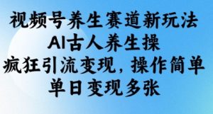 视频号养生赛道新玩法，AI古人养生操，疯狂引流变现，操作简单，单日变现多张|淘骐网赚资源库