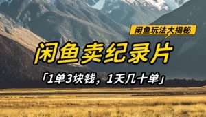 闲鱼卖纪录片1单3块钱，1天几十单，项目稳定有潜力|淘骐网赚资源库