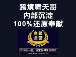 漫威跨境特训营-跨境电商教程|淘骐网赚资源库
