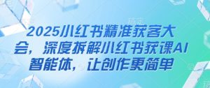 2025小红书精准获客大会，深度拆解小红书获课AI智能体，让创作更简单|淘骐网赚资源库
